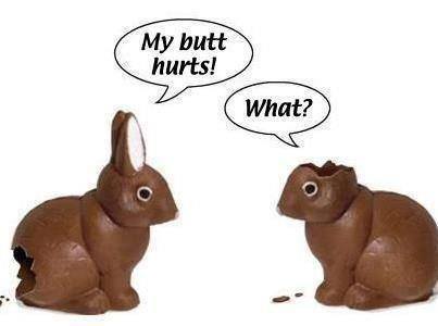 My butt hurts bunny
